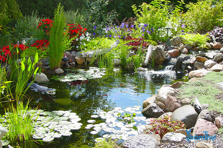 7 bí kíp để tạo ra khu vườn ao nước đẹp thu hút