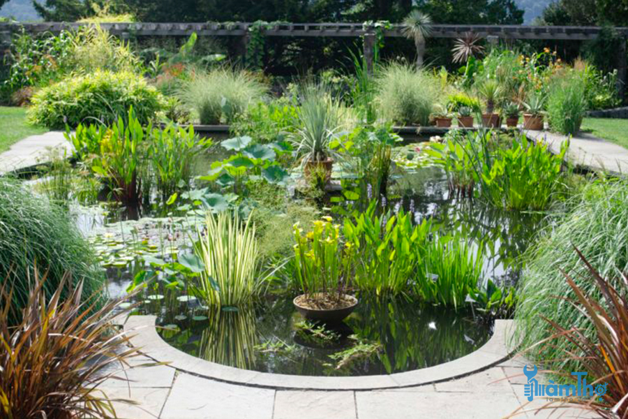 7 bí kíp để tạo ra khu vườn ao nước đẹp thu hút