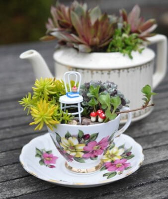 Học cách làm khu vườn mini trong tách trà cho góc nhà thêm xinh