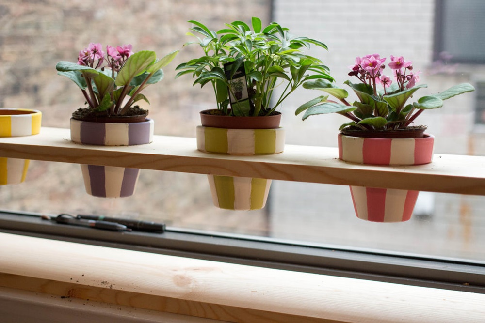 Gợi ý cách trang trí cửa sổ bằng chậu cây xanh đơn giản dễ làm ...