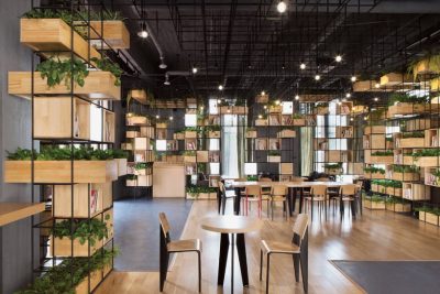 Khám phá thiết kế quán cà phê ngập tràn thiên nhiên xanh