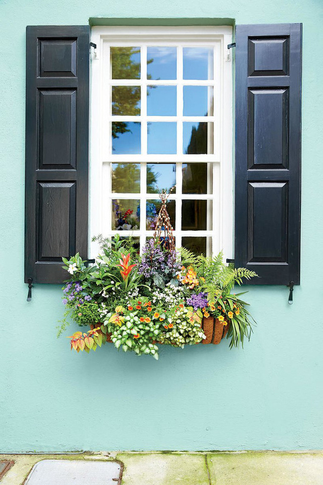 Cách tạo hộp hoa treo trang trí cửa sổ