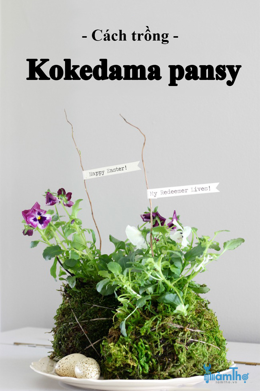 Cách trồng Kokedama mùa xuân trang trí không gian